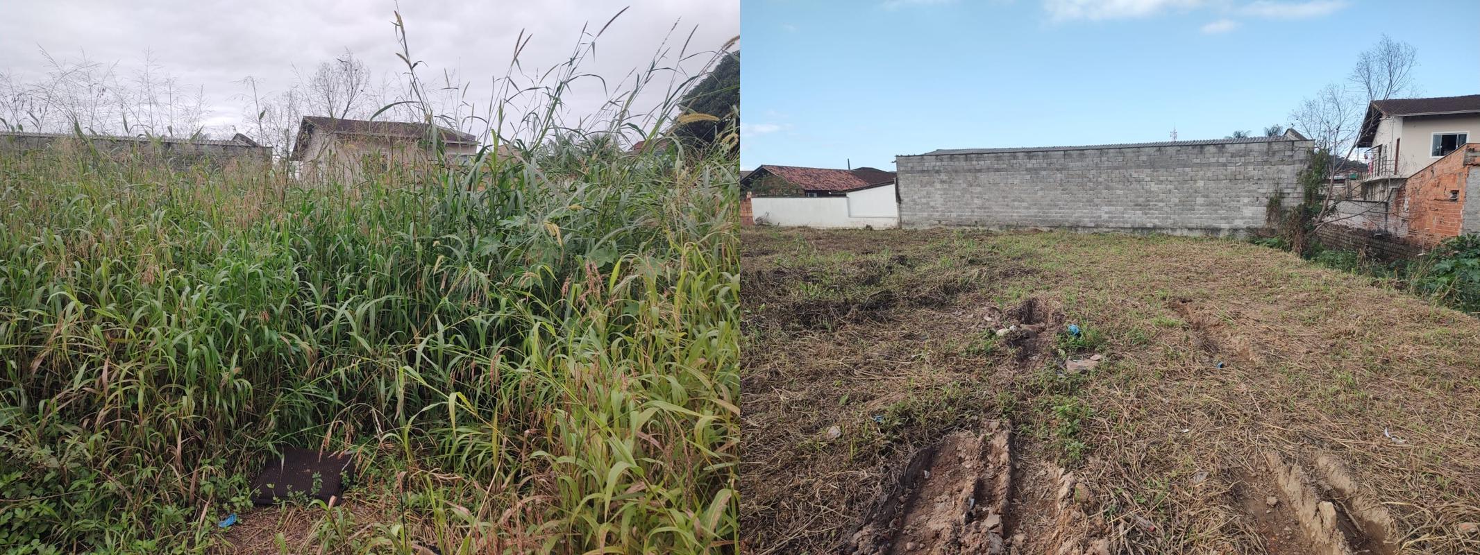 Terrenos acima de 5.000 m²